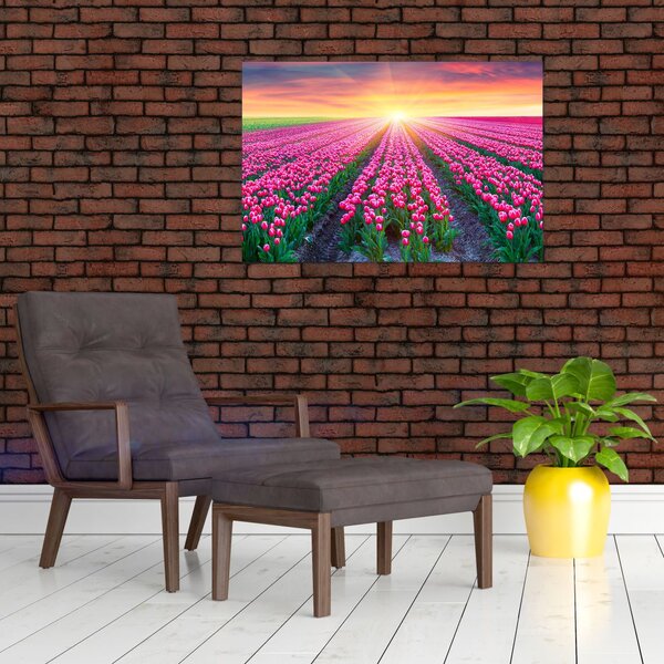 Slika polja tulipana sa suncem (90x60 cm)