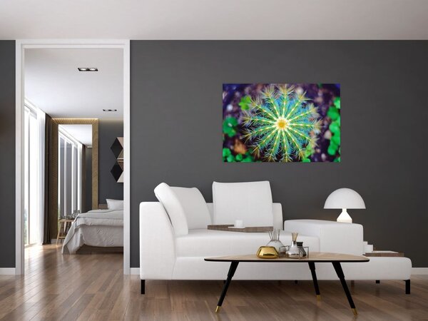 Slika kaktusa (90x60 cm)