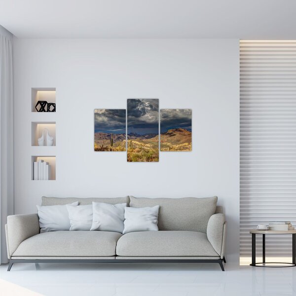 Slika - kaktusi u prirodi (90x60 cm)