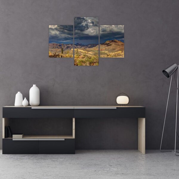 Slika - kaktusi u prirodi (90x60 cm)