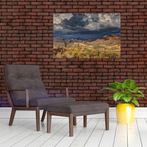 Slika - kaktusi u prirodi (90x60 cm)