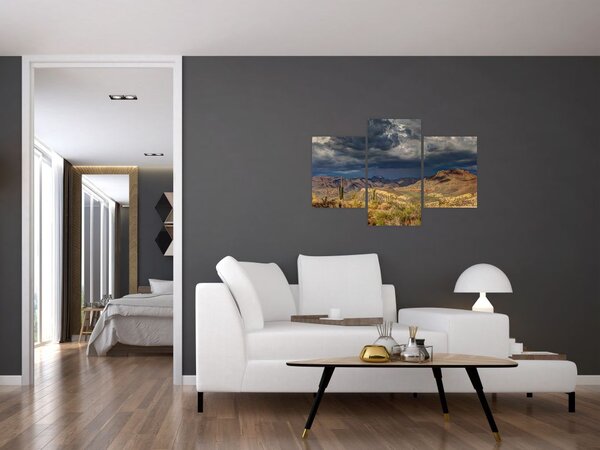Slika - kaktusi u prirodi (90x60 cm)