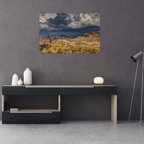 Slika - kaktusi u prirodi (90x60 cm)