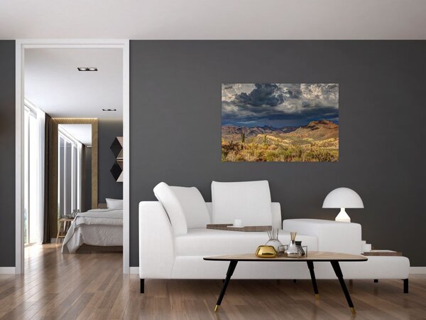 Slika - kaktusi u prirodi (90x60 cm)