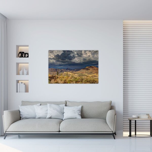 Slika - kaktusi u prirodi (90x60 cm)