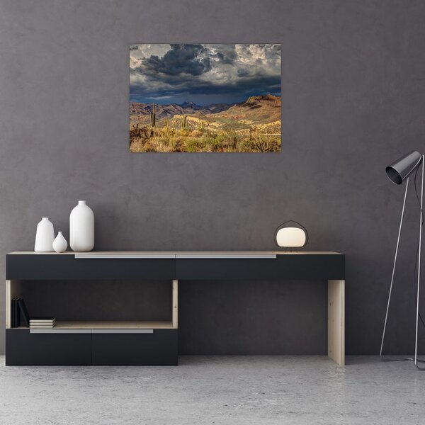 Slika - kaktusi u prirodi (70x50 cm)