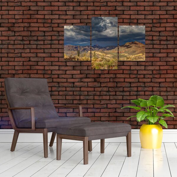 Slika - kaktusi u prirodi (90x60 cm)