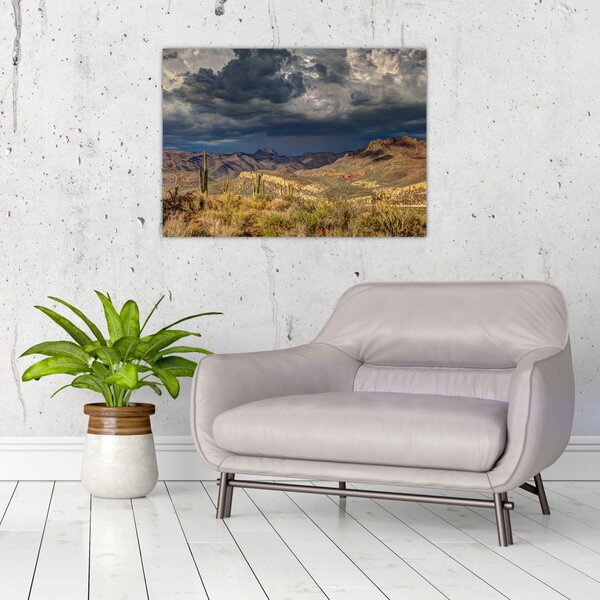 Slika - kaktusi u prirodi (70x50 cm)