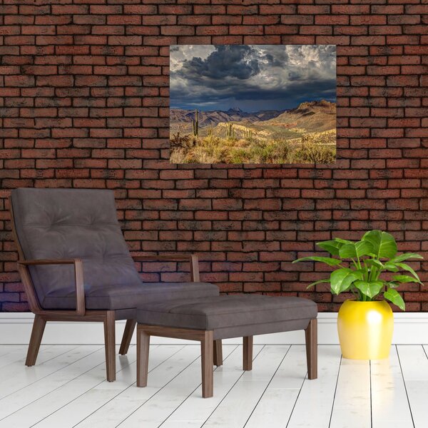 Slika - kaktusi u prirodi (70x50 cm)
