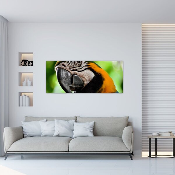 Slika papige (120x50 cm)