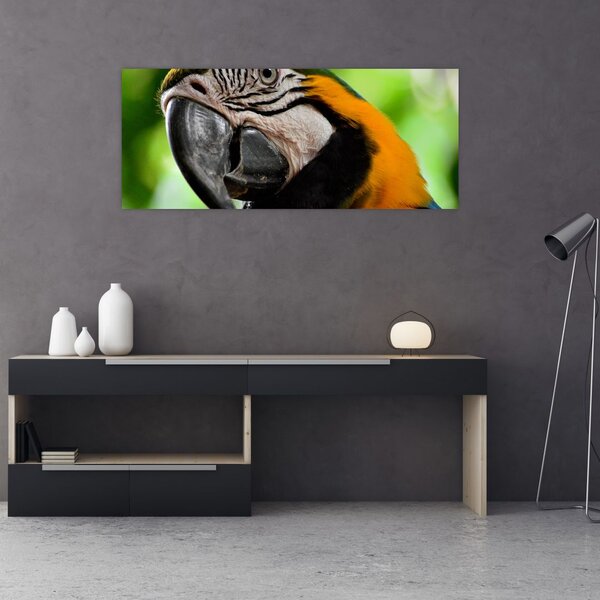 Slika papige (120x50 cm)