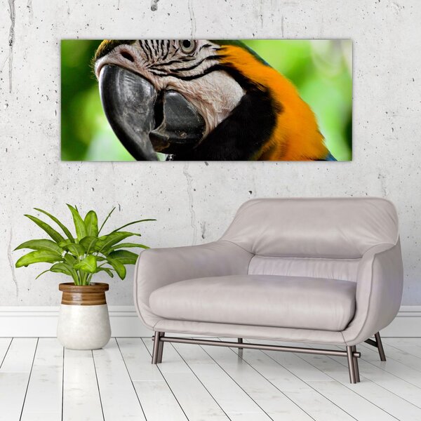 Slika papige (120x50 cm)