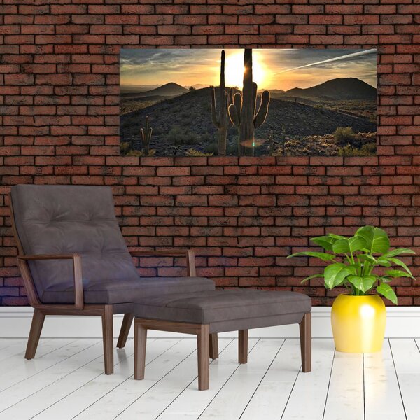 Slika - kaktusi na suncu (120x50 cm)