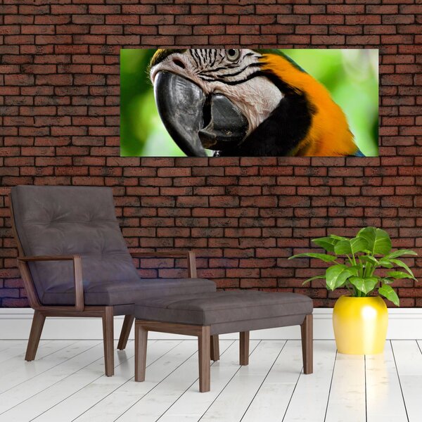 Slika papige (120x50 cm)
