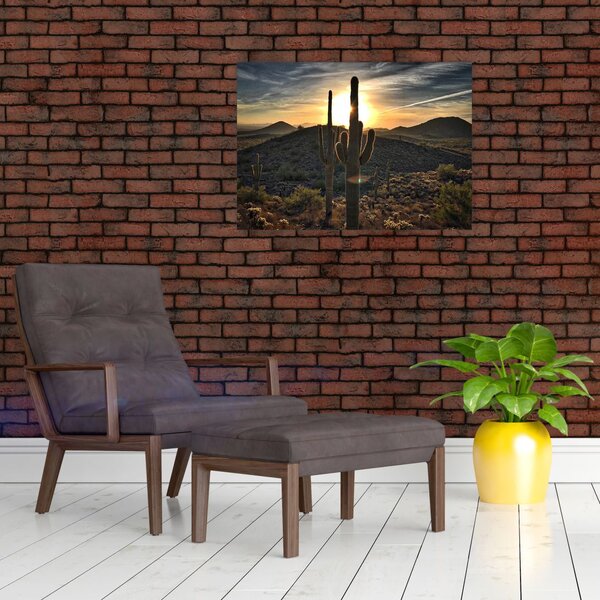 Slika - kaktusi na suncu (70x50 cm)