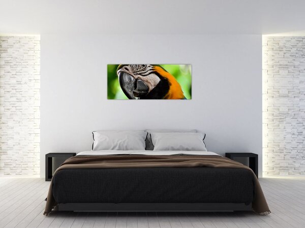 Slika papige (120x50 cm)