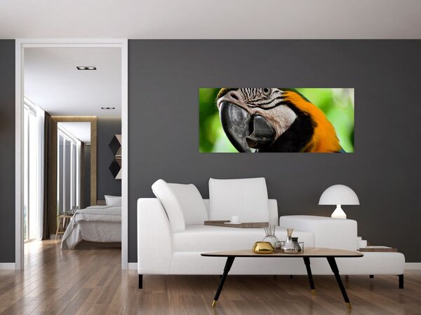 Slika papige (120x50 cm)