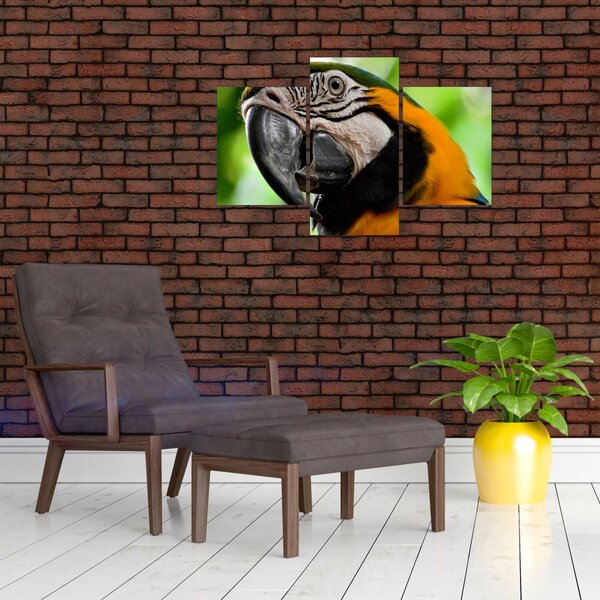 Slika papige (90x60 cm)
