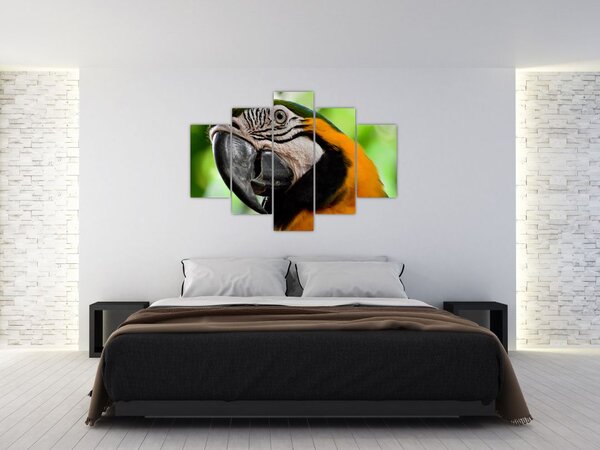 Slika papige (150x105 cm)