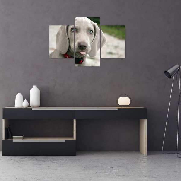 Slika - štene Weimaranera (90x60 cm)