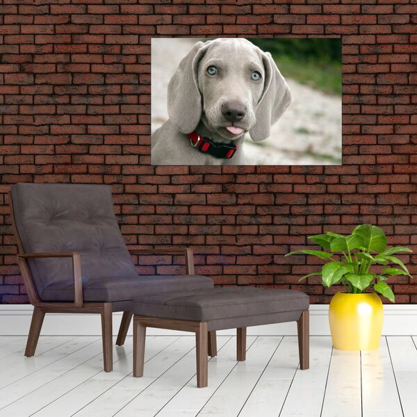 Slika - štene Weimaranera (90x60 cm)