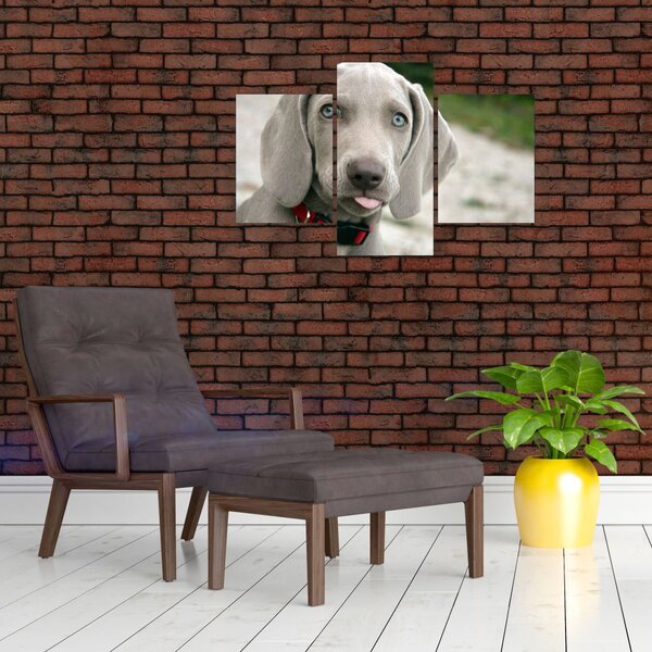 Slika - štene Weimaranera (90x60 cm)