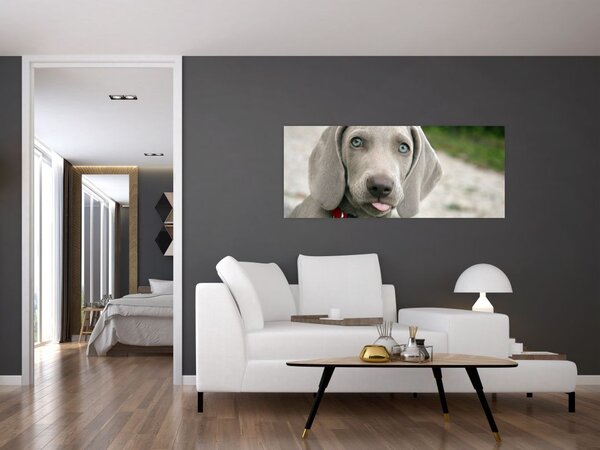 Slika - štene Weimaranera (120x50 cm)