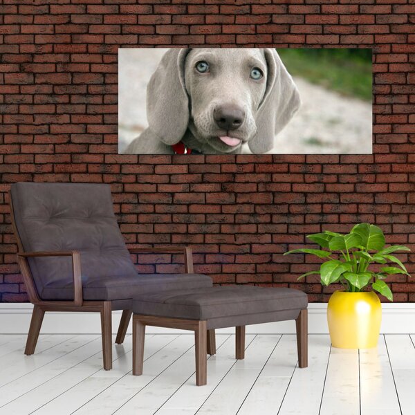 Slika - štene Weimaranera (120x50 cm)