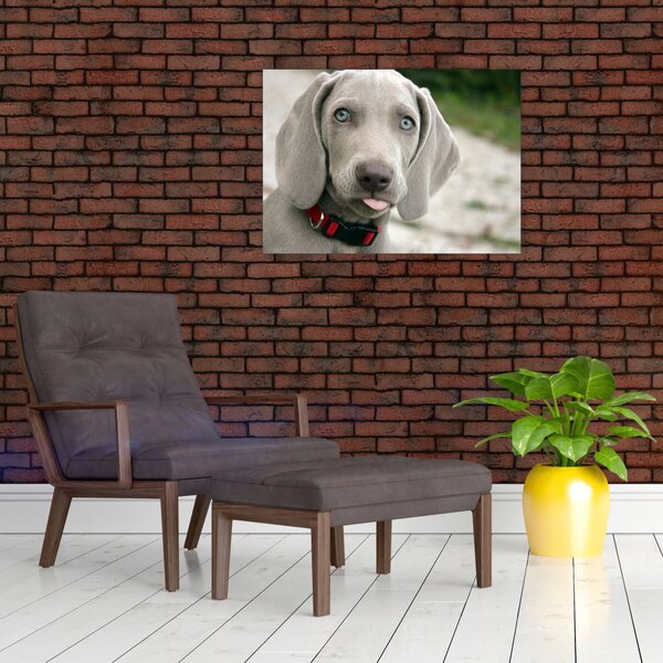 Slika - štene Weimaranera (70x50 cm)