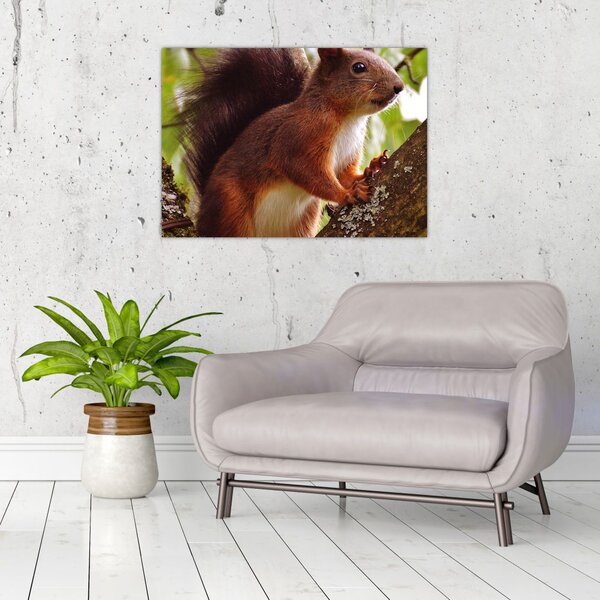 Slika vjeverice (70x50 cm)