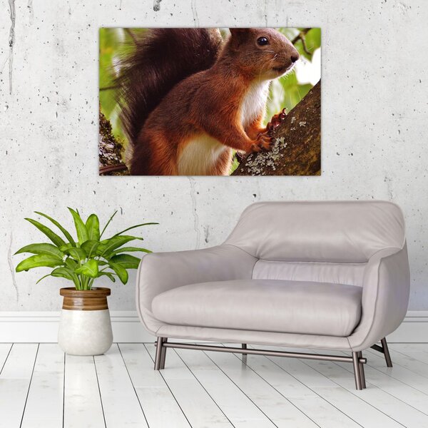 Slika vjeverice (90x60 cm)