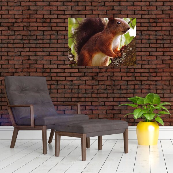Slika vjeverice (70x50 cm)