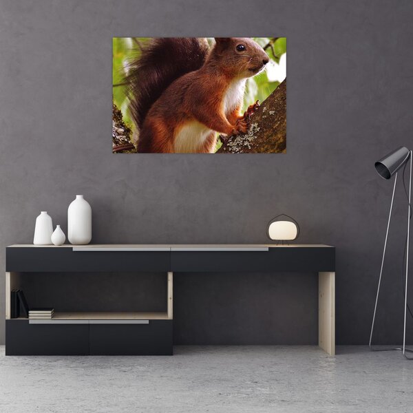 Slika vjeverice (90x60 cm)