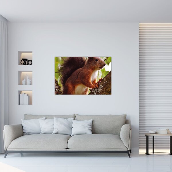 Slika vjeverice (90x60 cm)