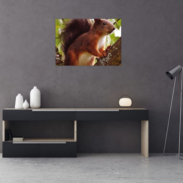 Slika vjeverice (70x50 cm)