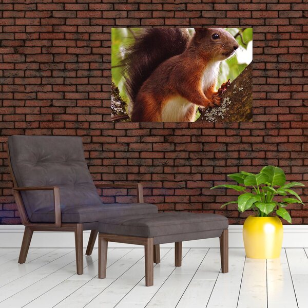 Slika vjeverice (90x60 cm)