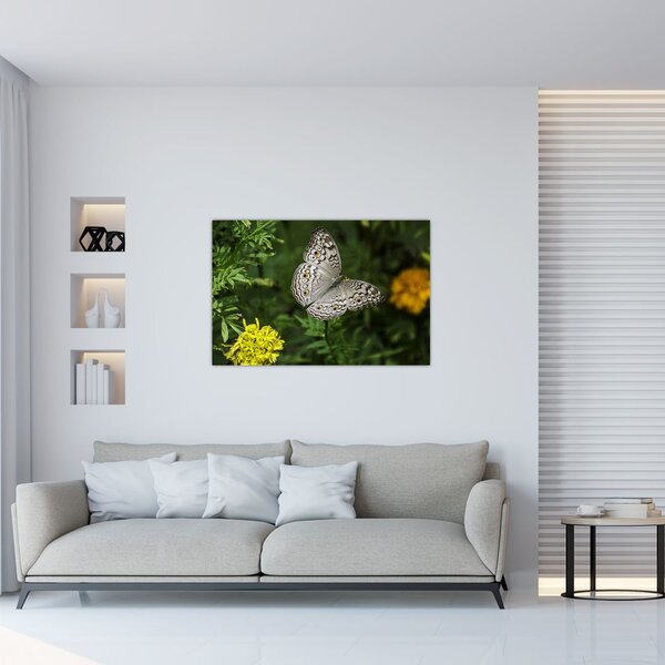 Slika - bijeli leptir (90x60 cm)