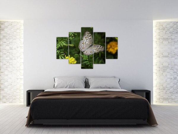 Slika - bijeli leptir (150x105 cm)