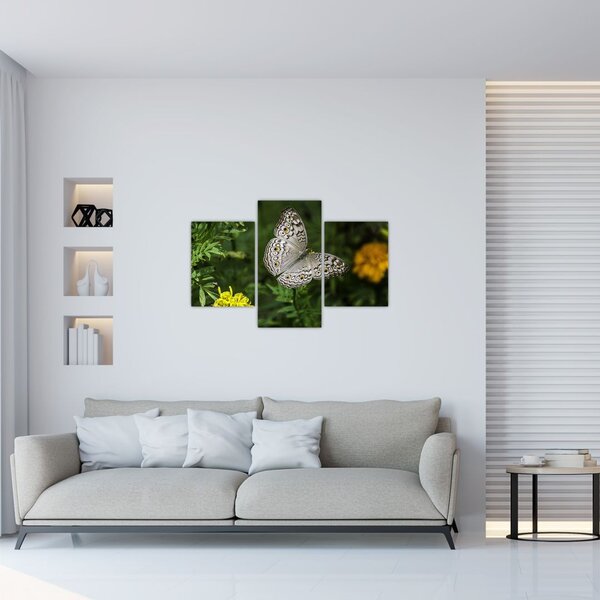 Slika - bijeli leptir (90x60 cm)