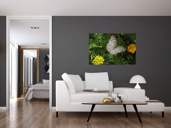 Slika - bijeli leptir (90x60 cm)