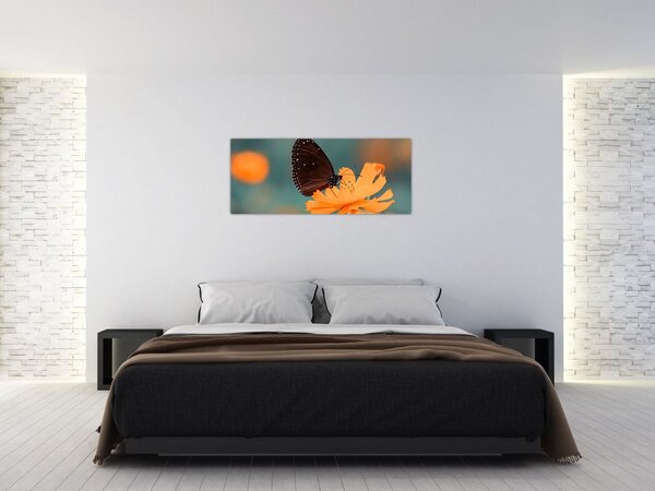 Slika - leptir na narančastom cvijetu (120x50 cm)