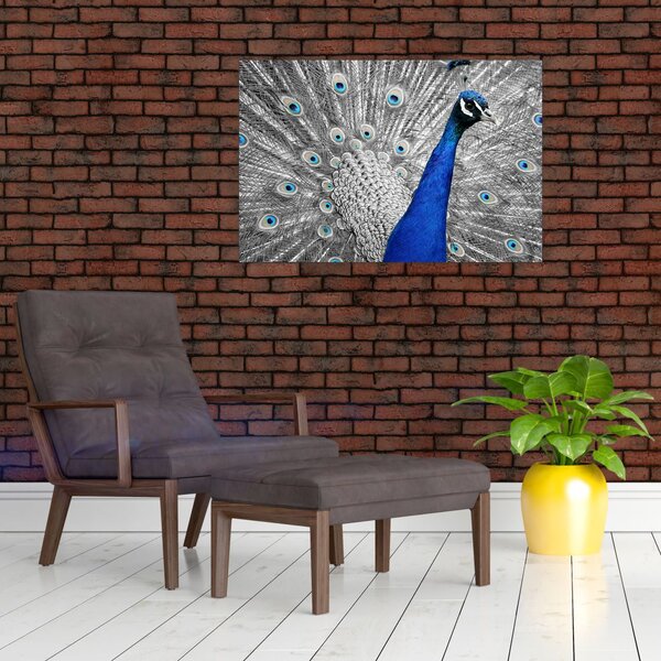 Slika - plavi paun (90x60 cm)
