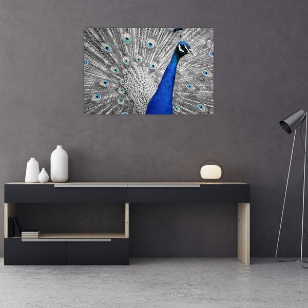 Slika - plavi paun (90x60 cm)