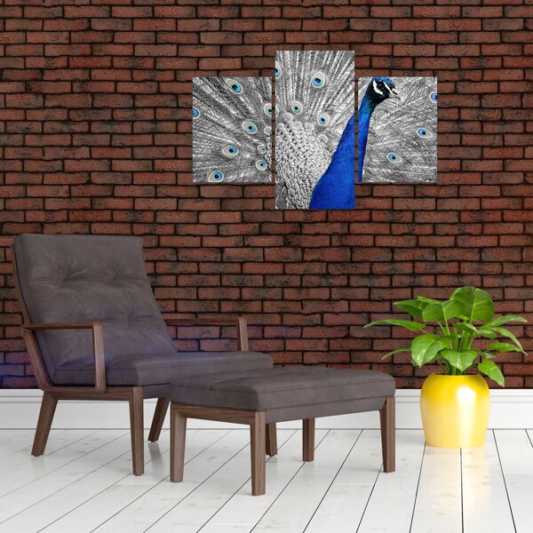 Slika - plavi paun (90x60 cm)
