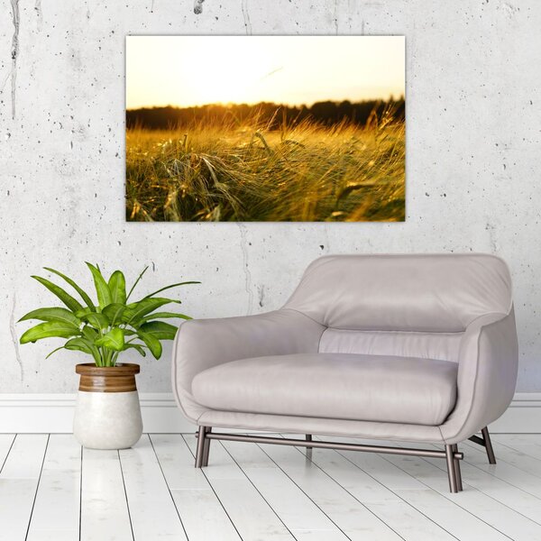 Slika rosne trave (90x60 cm)