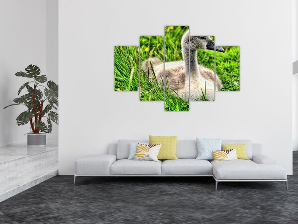 Slika - mali labud u travi (150x105 cm)