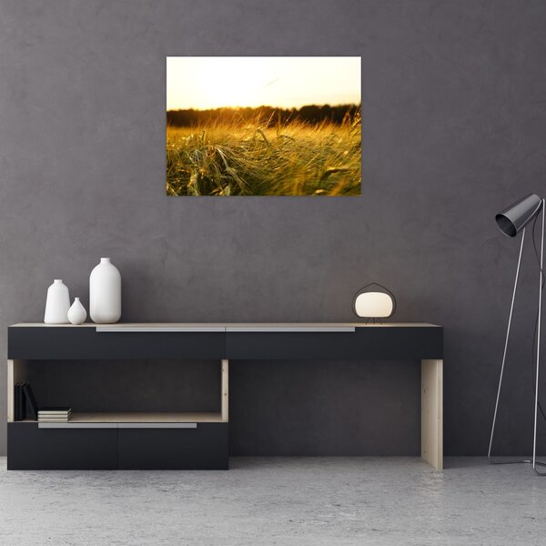 Slika rosne trave (70x50 cm)