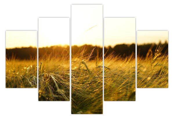 Slika rosne trave (150x105 cm)