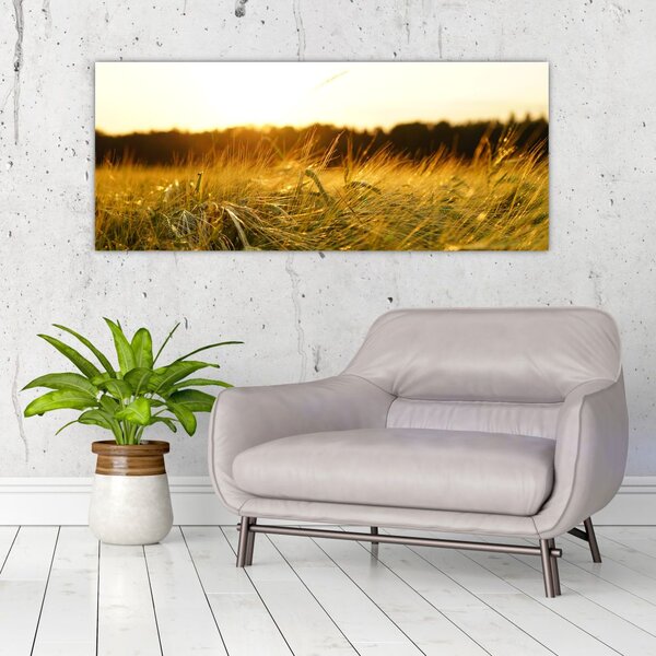 Slika rosne trave (120x50 cm)