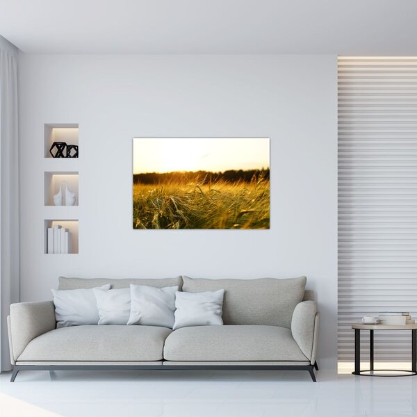 Slika rosne trave (90x60 cm)